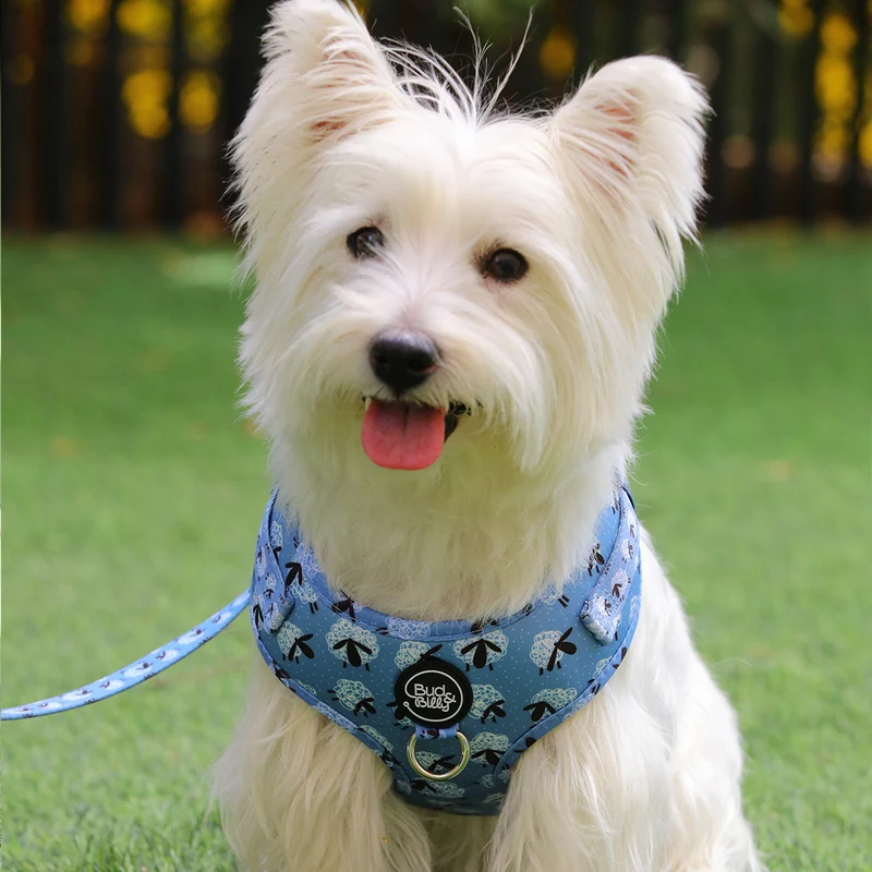 Bud & Billy Dog Harness Adjustable (XXS-XL) - Breathable Vest, Counting Sheep Collection, Blue & White