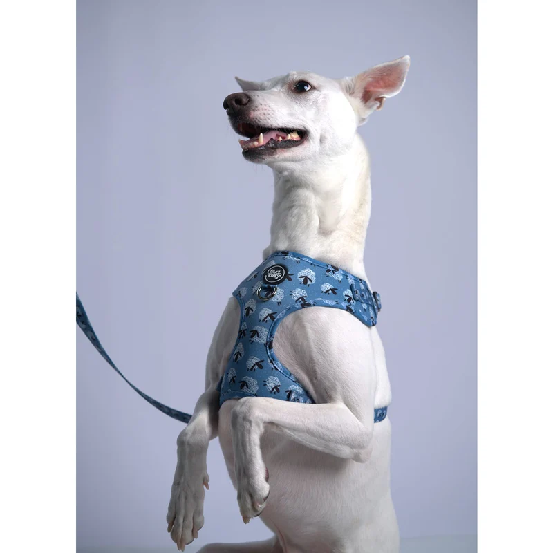 Bud & Billy Dog Harness Adjustable (XXS-XL) - Breathable Vest, Counting Sheep Collection, Blue & White