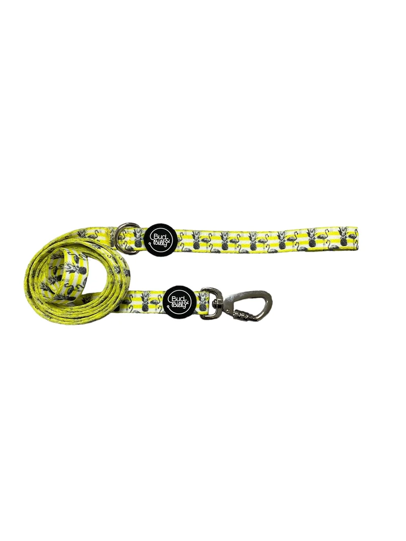 Bud & Billy Dog Strong & Durable Leash - Lightweight, 1.8 Meters (XS-L) Flamingo Collection, Yellow & White Stripe