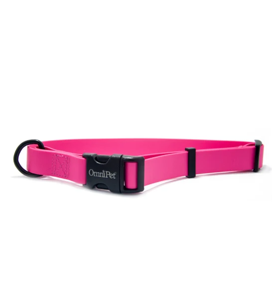 Omnipet Carnival Collar 14-20"