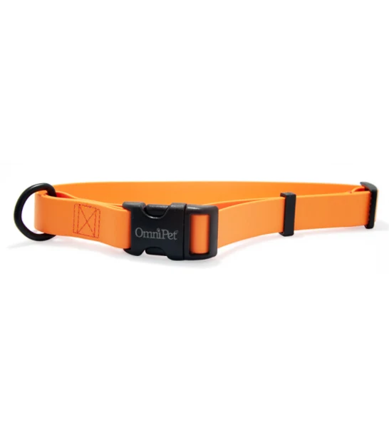 Omnipet Carnival Collar 14-20"