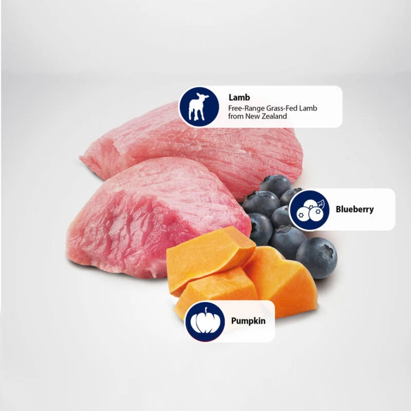 Farmina N&D Lamb, Pumpkin & Blueberry Grain-Free Puppy Wet Dog Food 285G