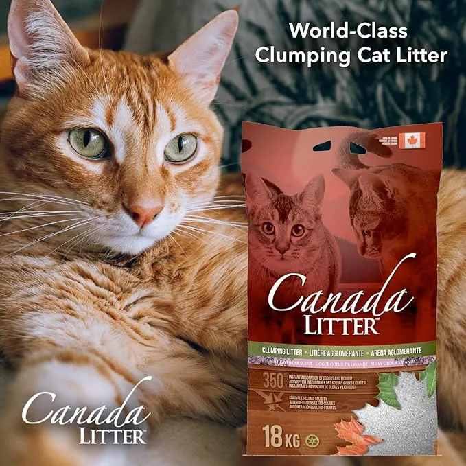Canada LITTER Lavender Scented Clumping Cat Litter