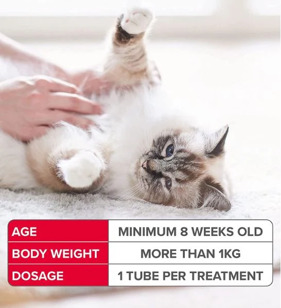 Beaphar Fiprotec Spot-On Flea & Tick Treatment for Cats