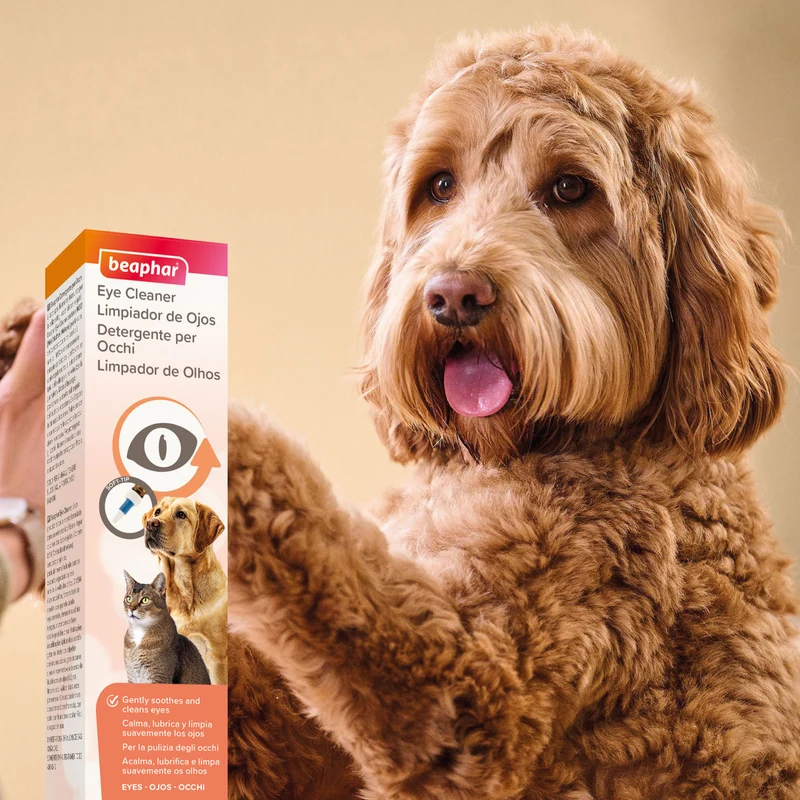 Beaphar Eye Cleaner for Dogs & Cats 50ml