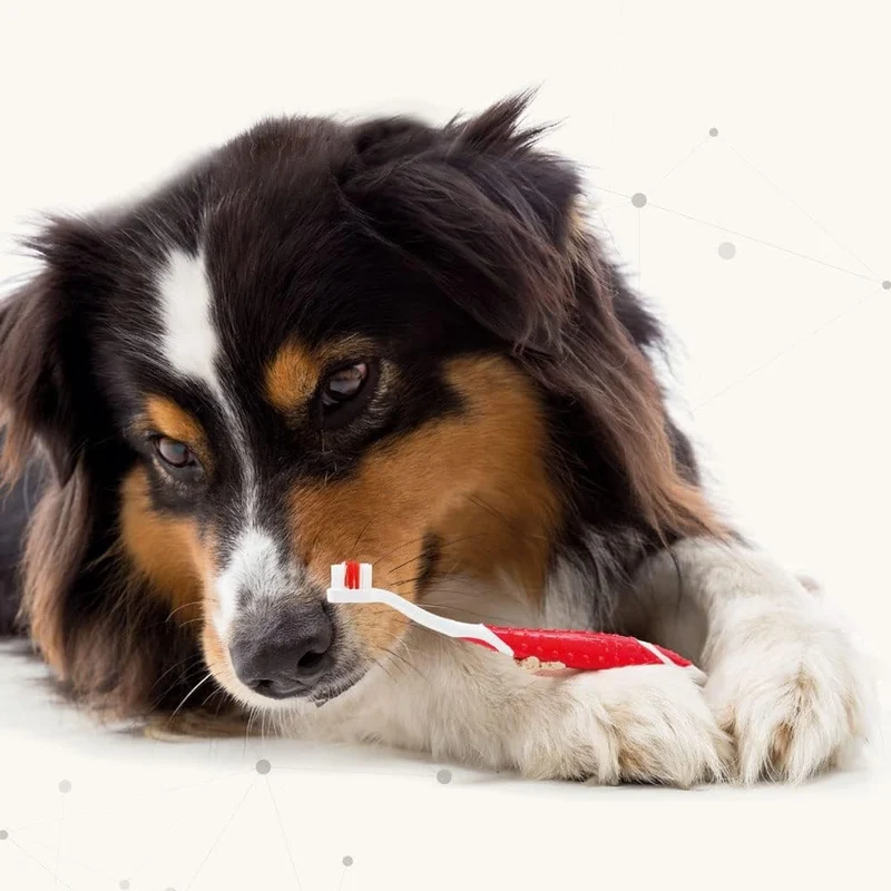 Beaphar Toothpaste for Dogs & Cats 100g