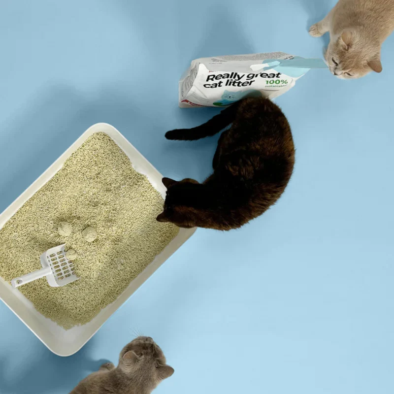 Katzenstreu TOFU klumpend & staubfrei