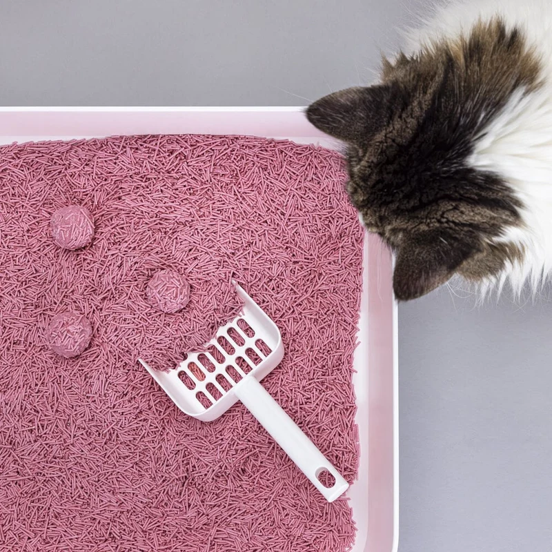 Katzenstreu TOFU Babypuder klumpend & staubfrei
