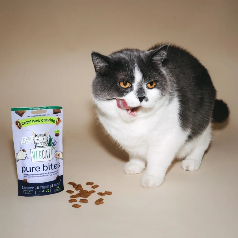 VEGCAT Katzenleckerli PURE Bites