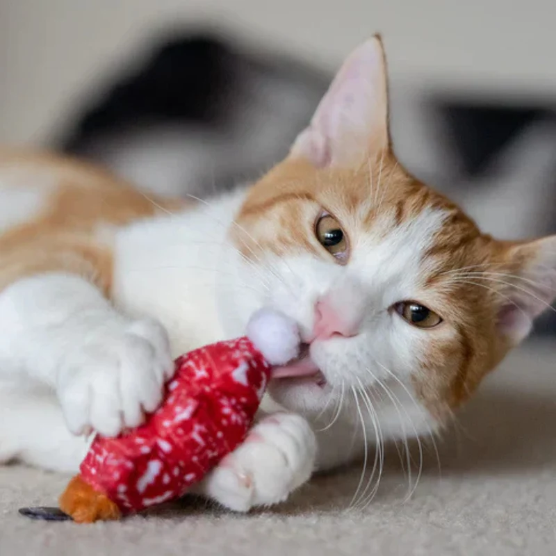 Katzenspielzeug MEOWY CHRISTMAS