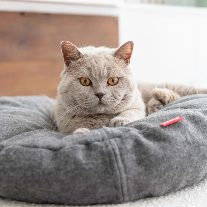 Katzenbett DONUT Dunkelgrau