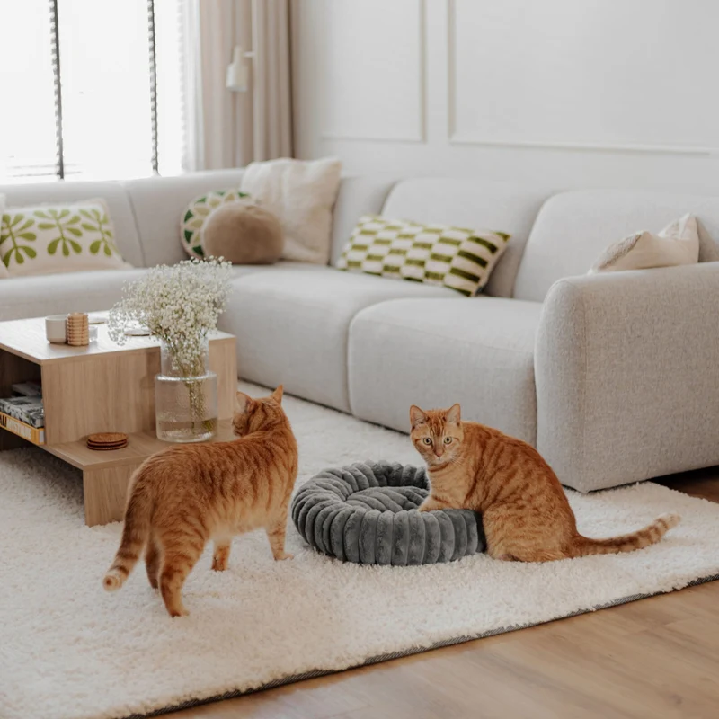 Katzenbett RIBBA Grau