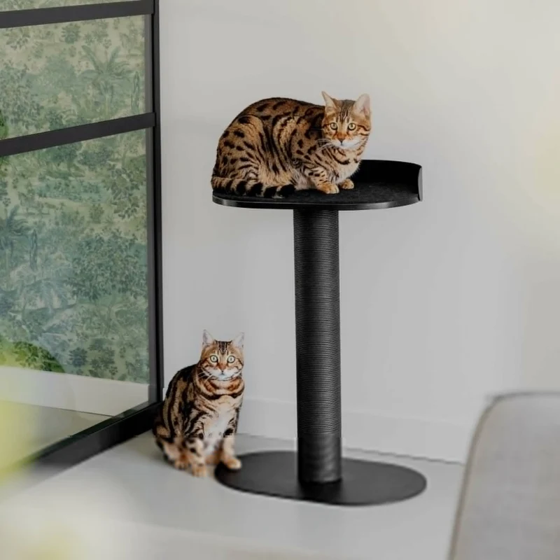Kratzbaum OASIS 80 Schwarz