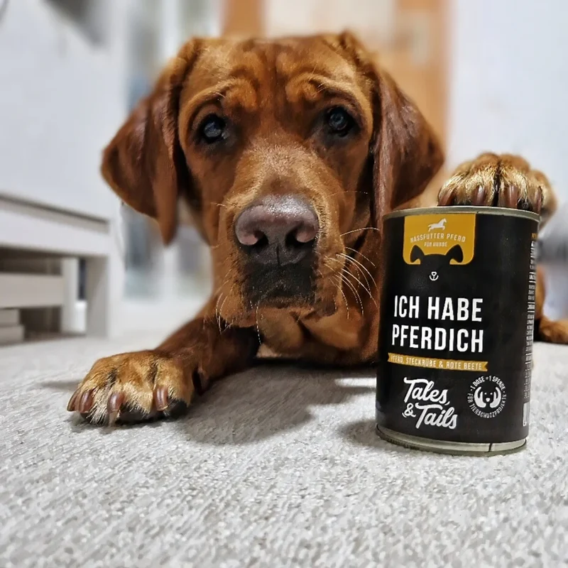 Tales & Tails Ich habe PFERDich – Nassfutter Pferd für Hunde