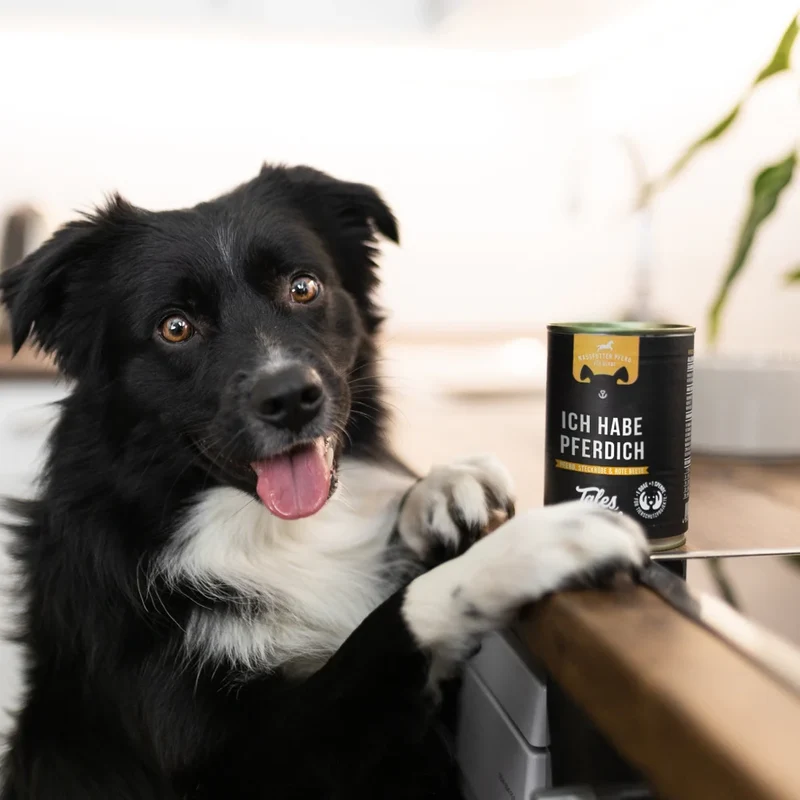 Tales & Tails Ich habe PFERDich – Nassfutter Pferd für Hunde