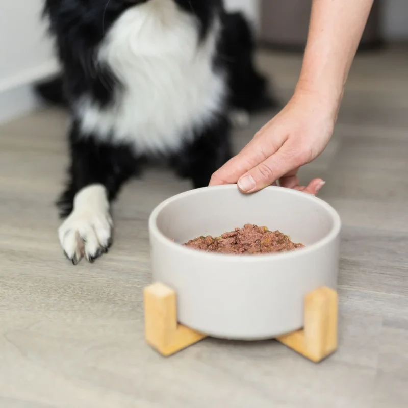 Tales & Tails Ich habe PFERDich – Nassfutter Pferd für Hunde