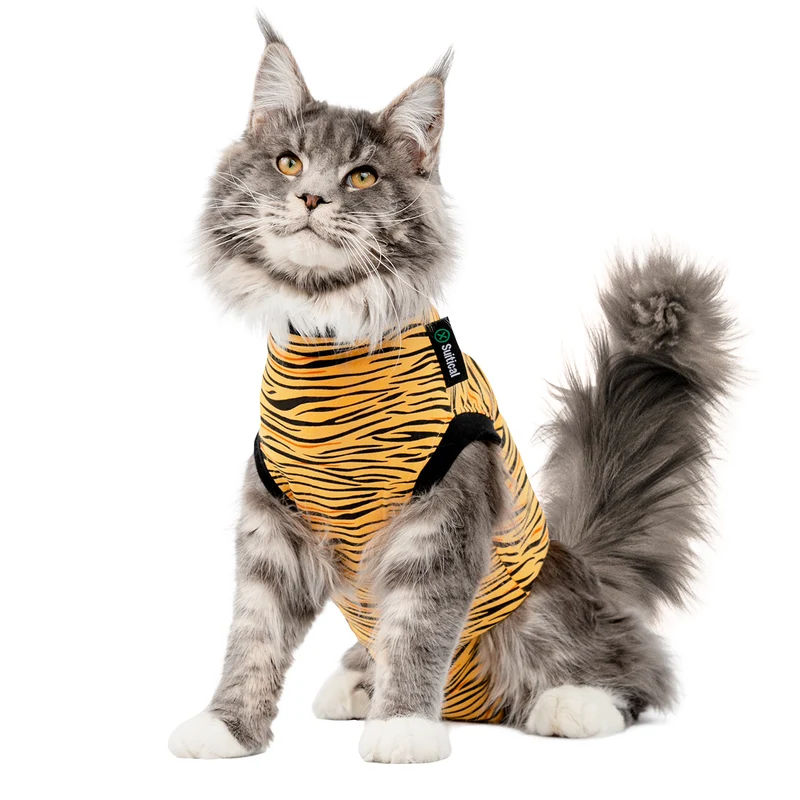Suitical Recovery Suit Katze – medizinischer Body als Alternative zum Halskragen 🐾