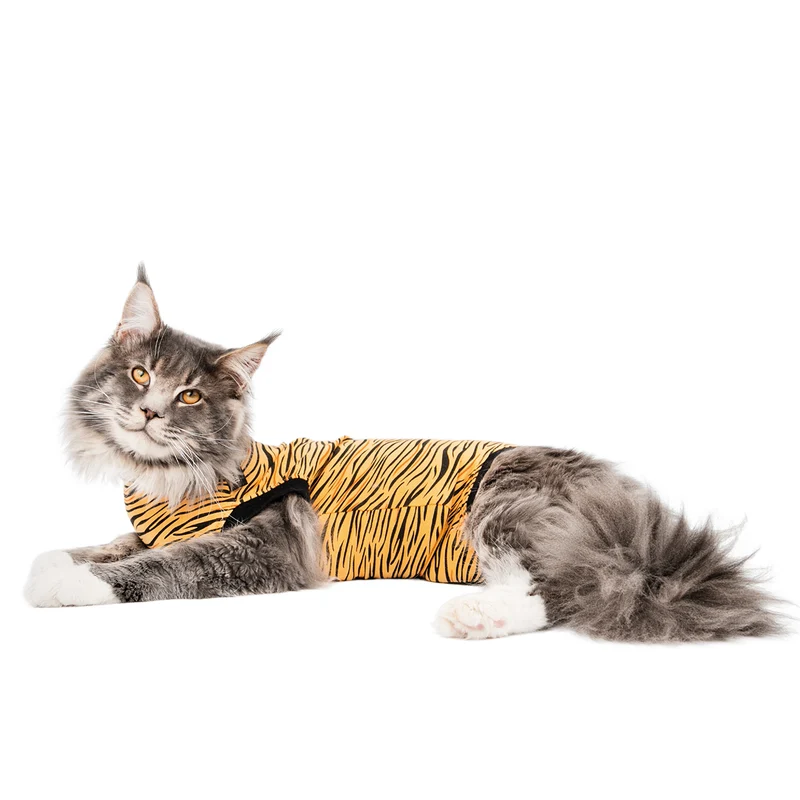 Suitical Recovery Suit Katze – medizinischer Body als Alternative zum Halskragen 🐾