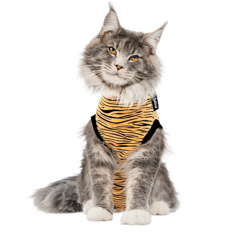 Suitical Recovery Suit Katze – medizinischer Body als Alternative zum Halskragen 🐾