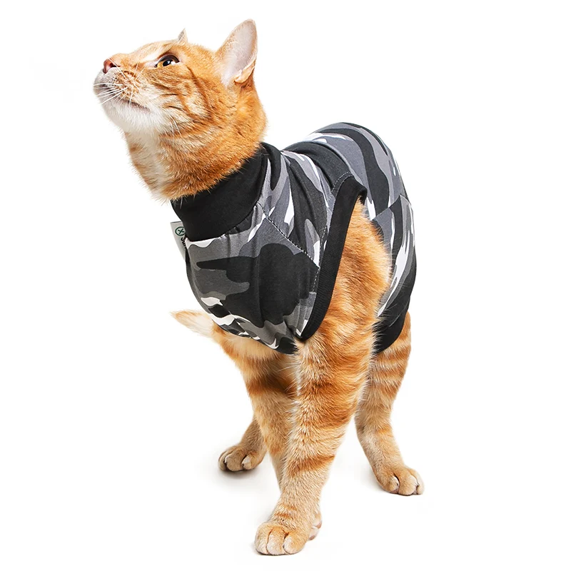 Suitical Recovery Suit Katze – medizinischer Body als Alternative zum Halskragen 🐾