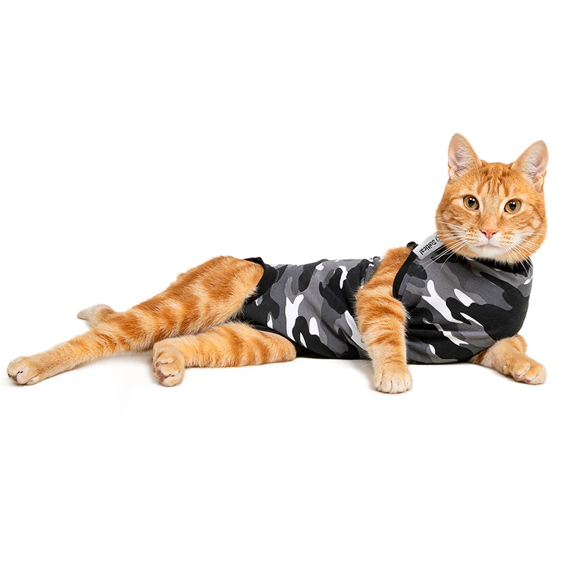 Suitical Recovery Suit Katze – medizinischer Body als Alternative zum Halskragen 🐾