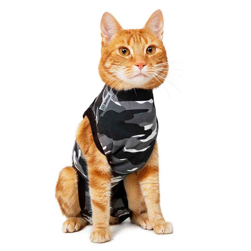 Suitical Recovery Suit Katze – medizinischer Body als Alternative zum Halskragen 🐾