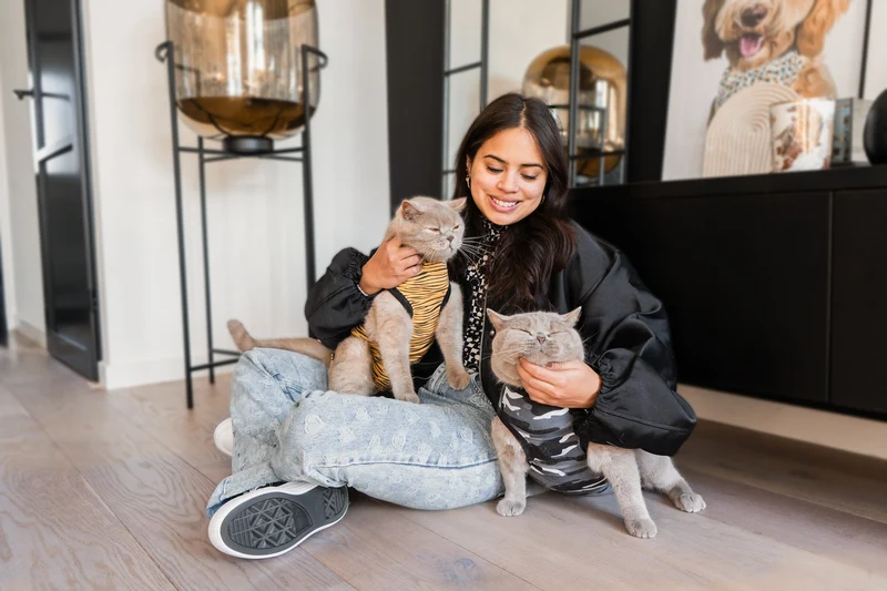 Suitical Recovery Suit Katze – medizinischer Body als Alternative zum Halskragen 🐾
