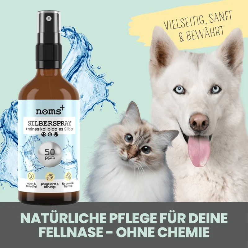 noms+ Silberspray für Hunde & Katzen 50 ppm – kolloidales Silber zur sanften Hautpflege 🐾🌿