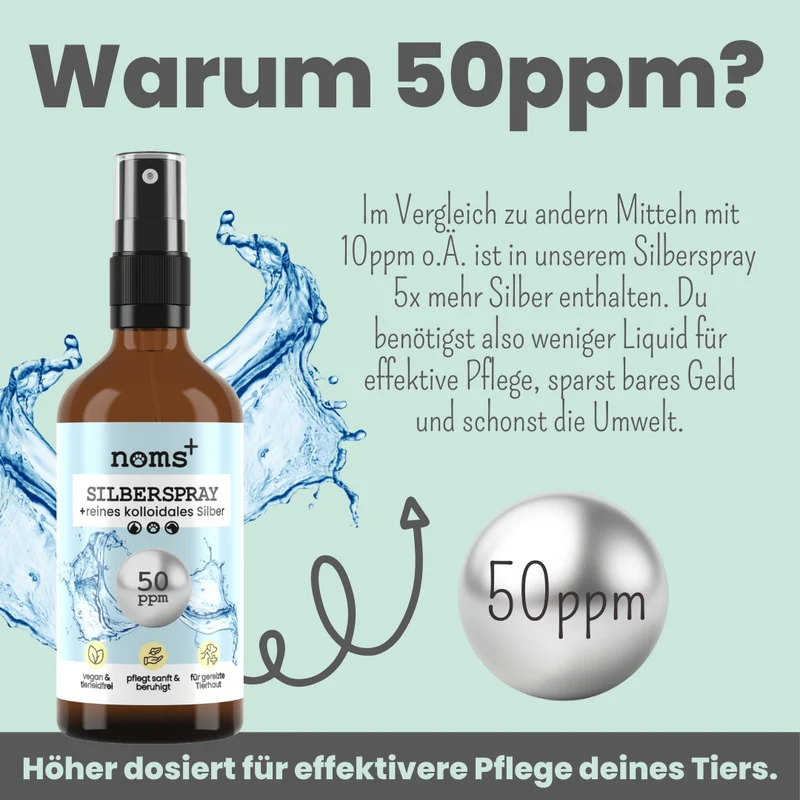 noms+ Silberspray für Hunde & Katzen 50 ppm – kolloidales Silber zur sanften Hautpflege 🐾🌿