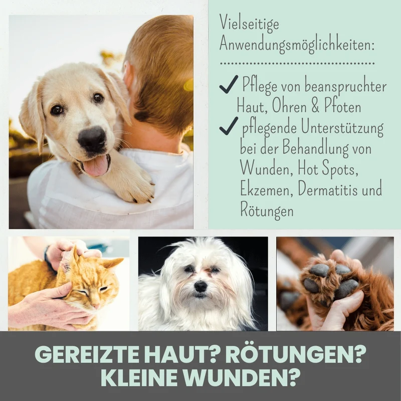noms+ Silberspray für Hunde & Katzen 50 ppm – kolloidales Silber zur sanften Hautpflege 🐾🌿
