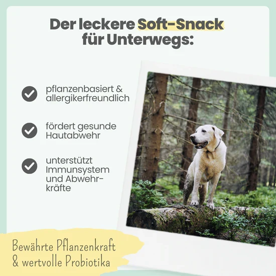 Z-Komplex für Hunde – vegane Soft-Snacks für Wald & Wiese
