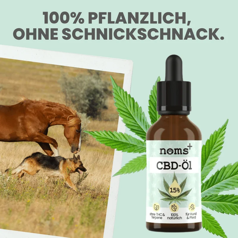 Premium Hanfsamenöl Tropfen für Hunde und Pferde
