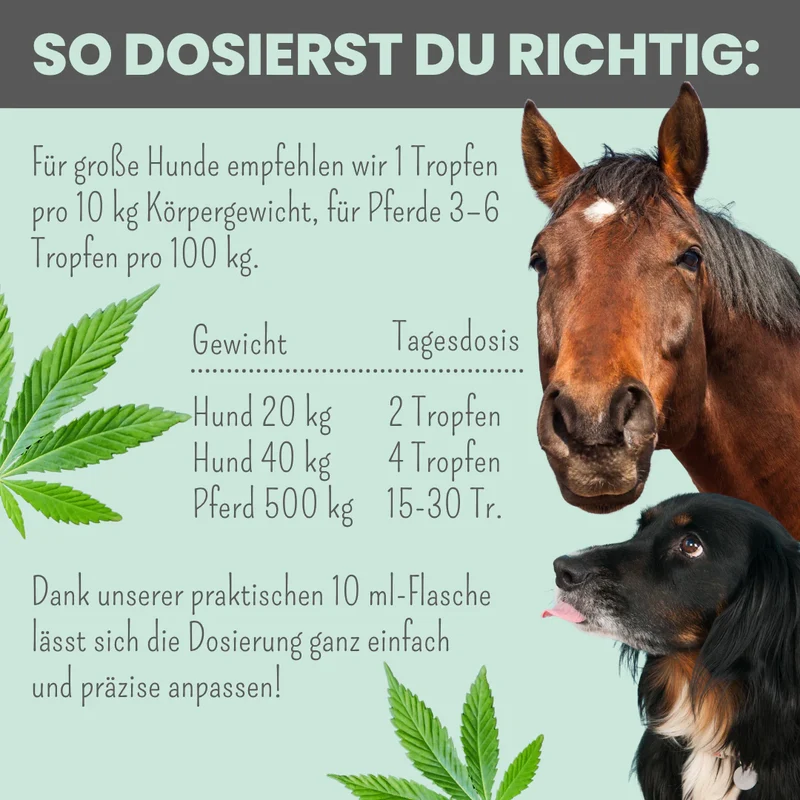 Premium Hanfsamenöl Tropfen für Hunde und Pferde