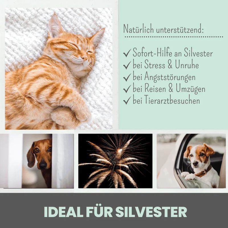 Premium Hanfsamenöl Tropfen für Katzen und kleine Hunde 10ml