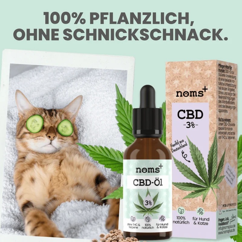 Premium Hanfsamenöl Tropfen für Katzen und kleine Hunde 10ml