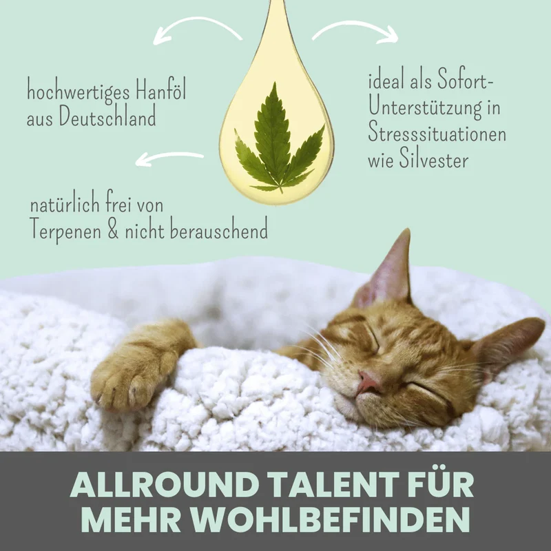 Premium Hanfsamenöl Tropfen für Katzen und kleine Hunde 10ml