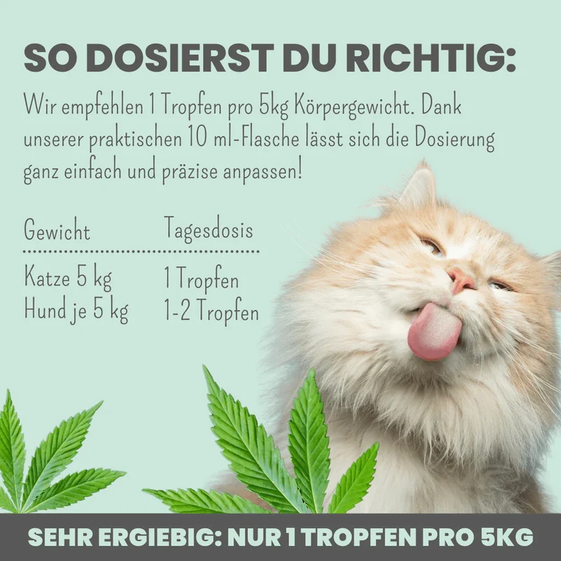 Premium Hanfsamenöl Tropfen für Katzen und kleine Hunde 10ml
