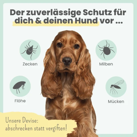 Zpray für Hunde & Menschen – natürlicher Schutz vor Zecken, Flöhen & Mücken