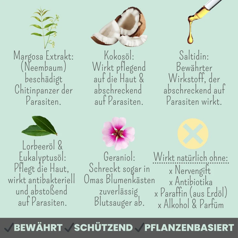 Zpray für Hunde & Menschen – natürlicher Schutz vor Zecken, Flöhen & Mücken