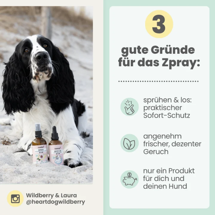 Zpray für Hunde & Menschen – natürlicher Schutz vor Zecken, Flöhen & Mücken