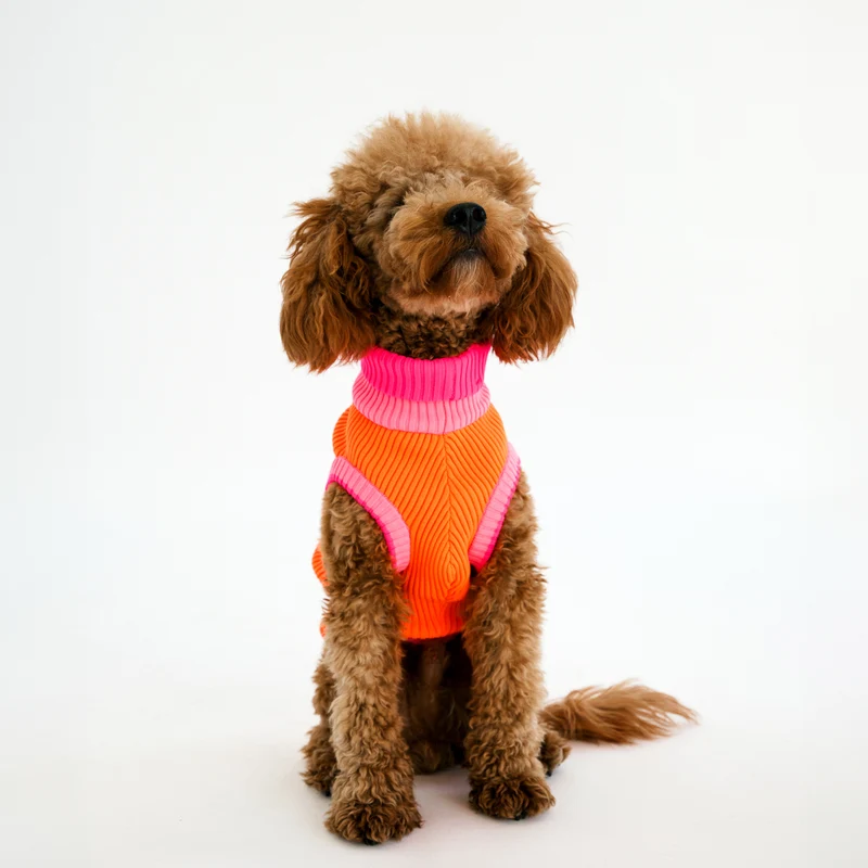THE GLOW JUMPER von LUMIIES® 1.0 - HOCHELASTISCHER NEON HUNDEPULLOVER