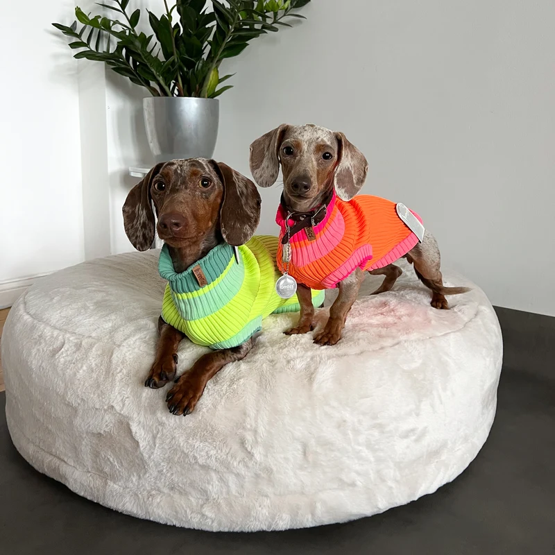 THE GLOW JUMPER von LUMIIES® 1.0 - HOCHELASTISCHER NEON HUNDEPULLOVER