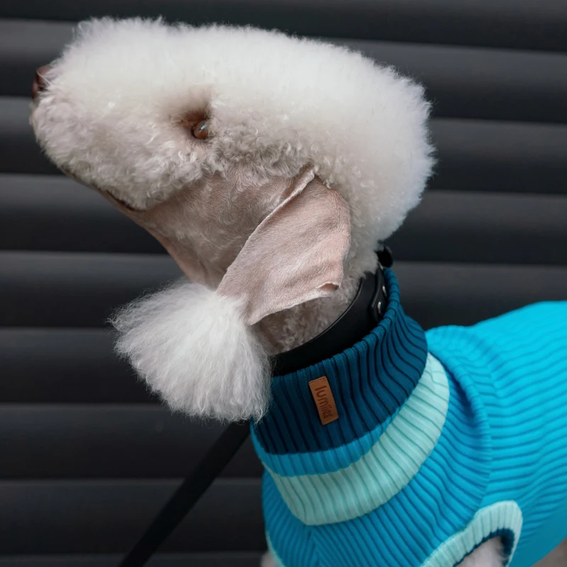 THE GLOW JUMPER von LUMIIES® 1.0 - HOCHELASTISCHER NEON HUNDEPULLOVER