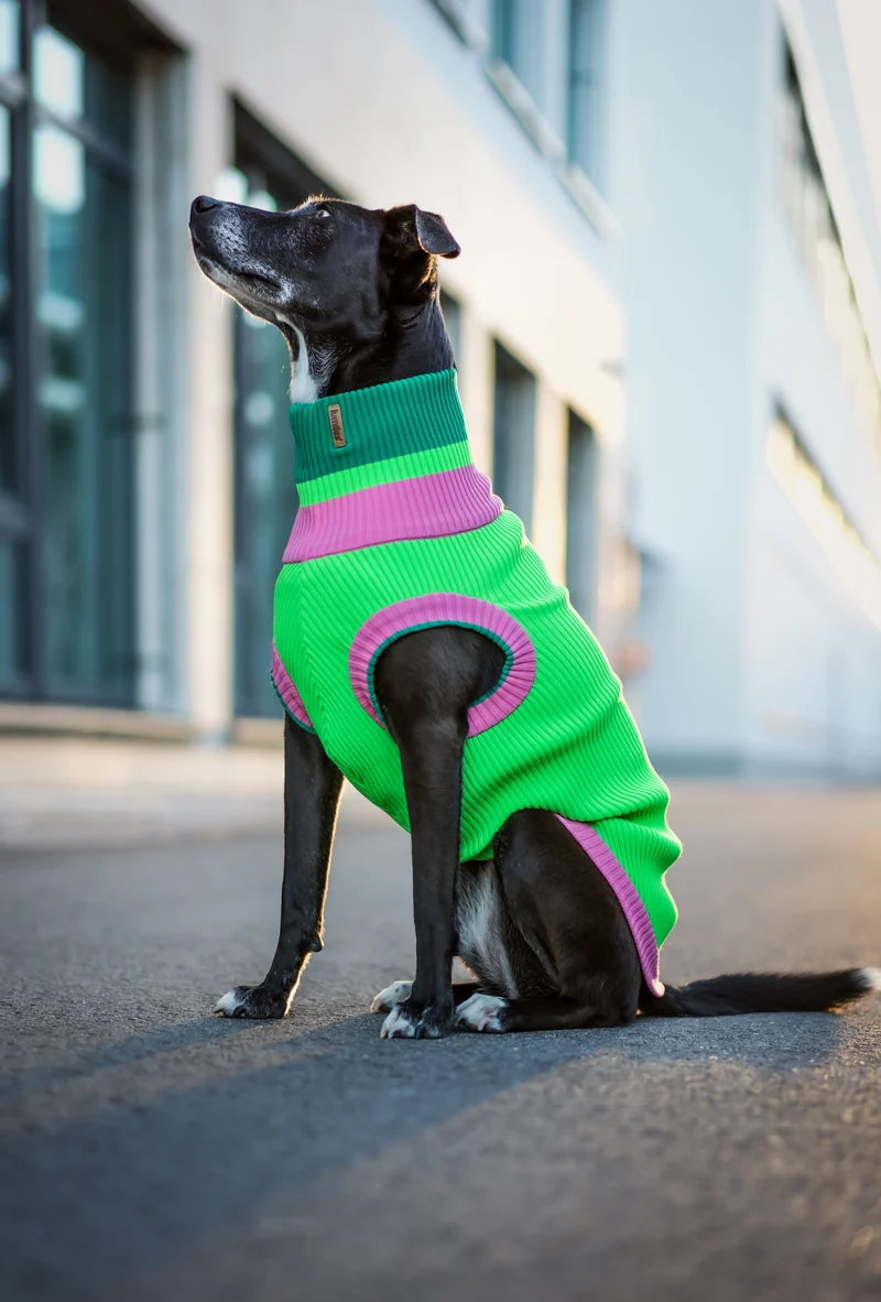 THE GLOW JUMPER von LUMIIES® 1.0 - HOCHELASTISCHER NEON HUNDEPULLOVER