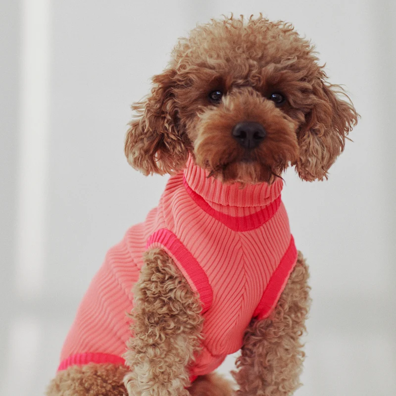THE GLOW JUMPER von LUMIIES® 1.0 - HOCHELASTISCHER NEON HUNDEPULLOVER
