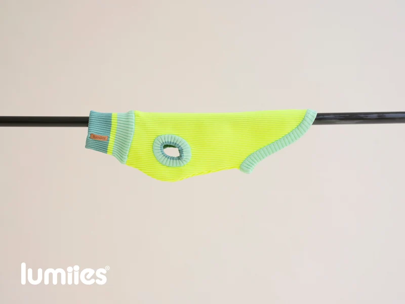 THE GLOW JUMPER von LUMIIES® 1.0 - HOCHELASTISCHER NEON HUNDEPULLOVER