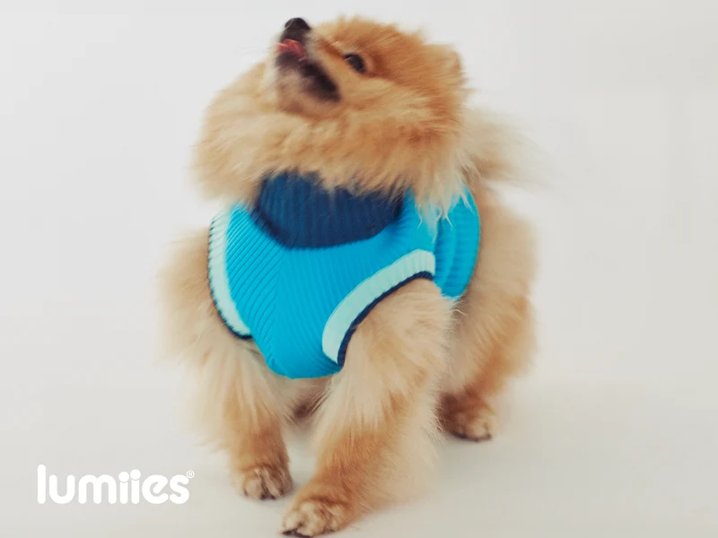 THE GLOW JUMPER von LUMIIES® 1.0 - HOCHELASTISCHER NEON HUNDEPULLOVER