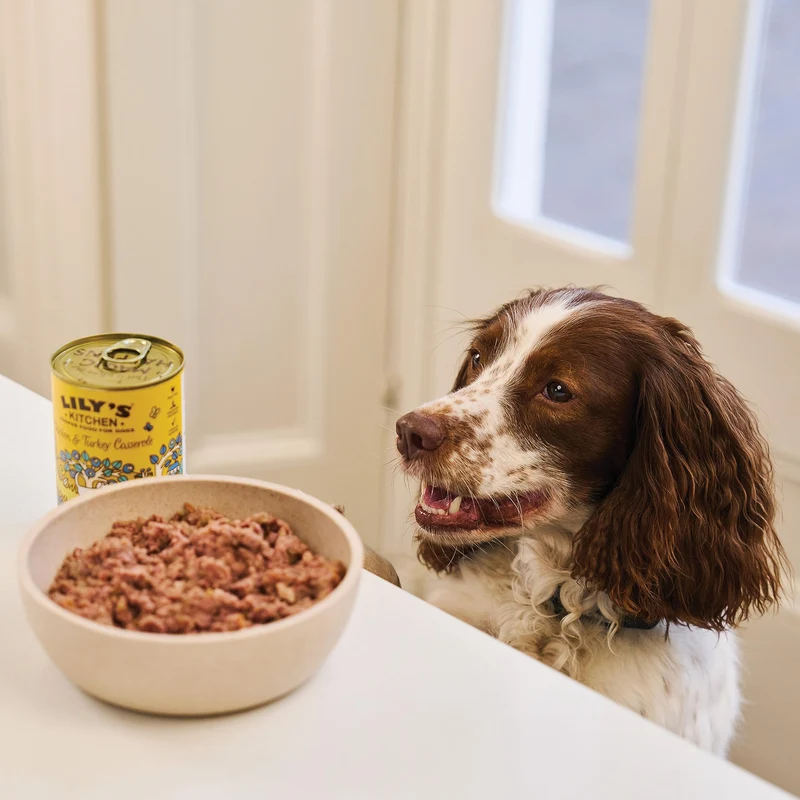 Lily's Kitchen Dog Classic Multipack Wet Dog Food 6x400g