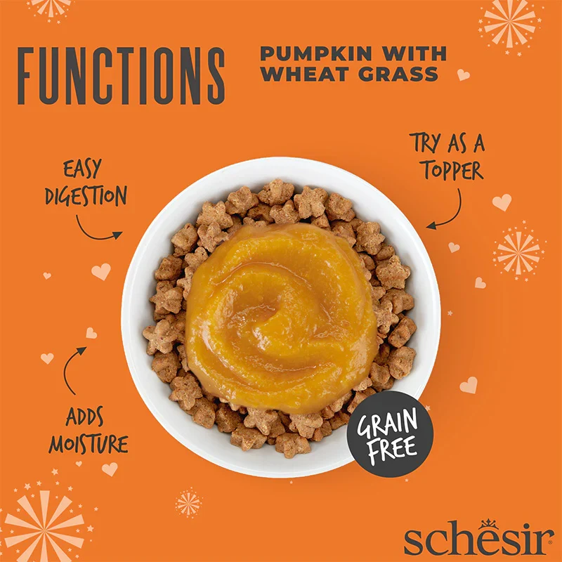 Schesir Functions Digestive Topper Pumpkin With Wheat Grass In Puree Wet Cat Food In Pouch 40G