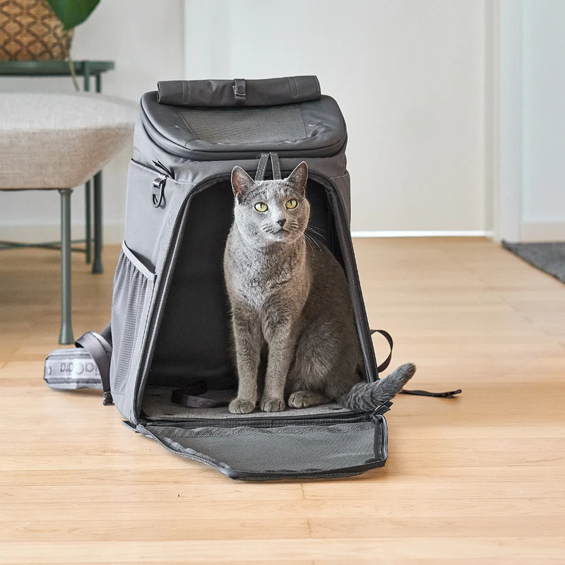 Katzenrucksack ZAINO Asphalt